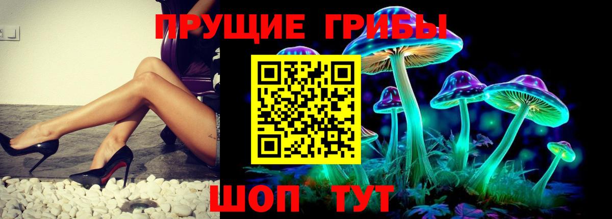 Гусев  купить  сайты  Вход с VPN  Галлюциногенные грибы мицелий 