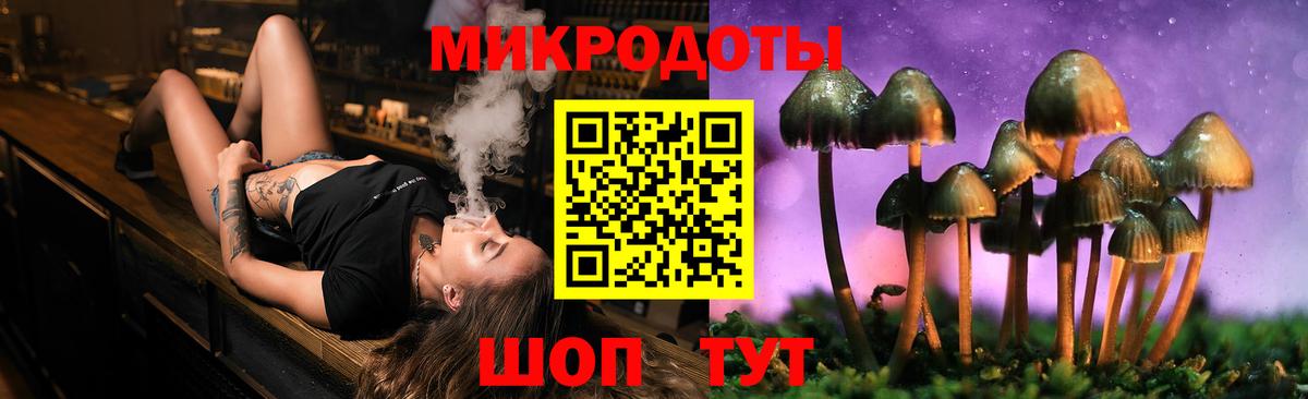 Псилоцибиновые грибы GOLDEN TEACHER Гусев